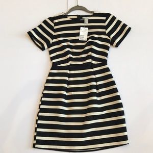 NWT H&M Sz. 2 A-line dress